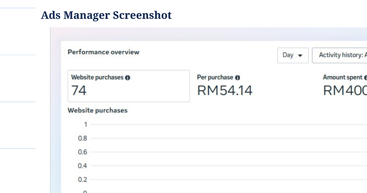 Meta Ads purchase campaign screenshot