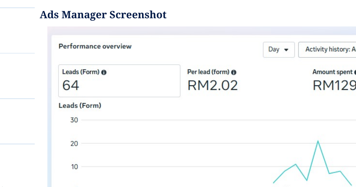 Meta Ads campaign screenshot showing lead generation result